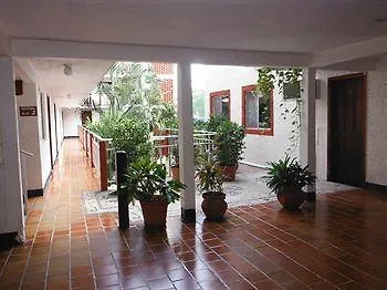 El Tradicional Vv 2*